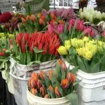 Courtesy: Seattle Farmers Market