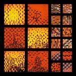 Masks & Other Transformations by John Fleming