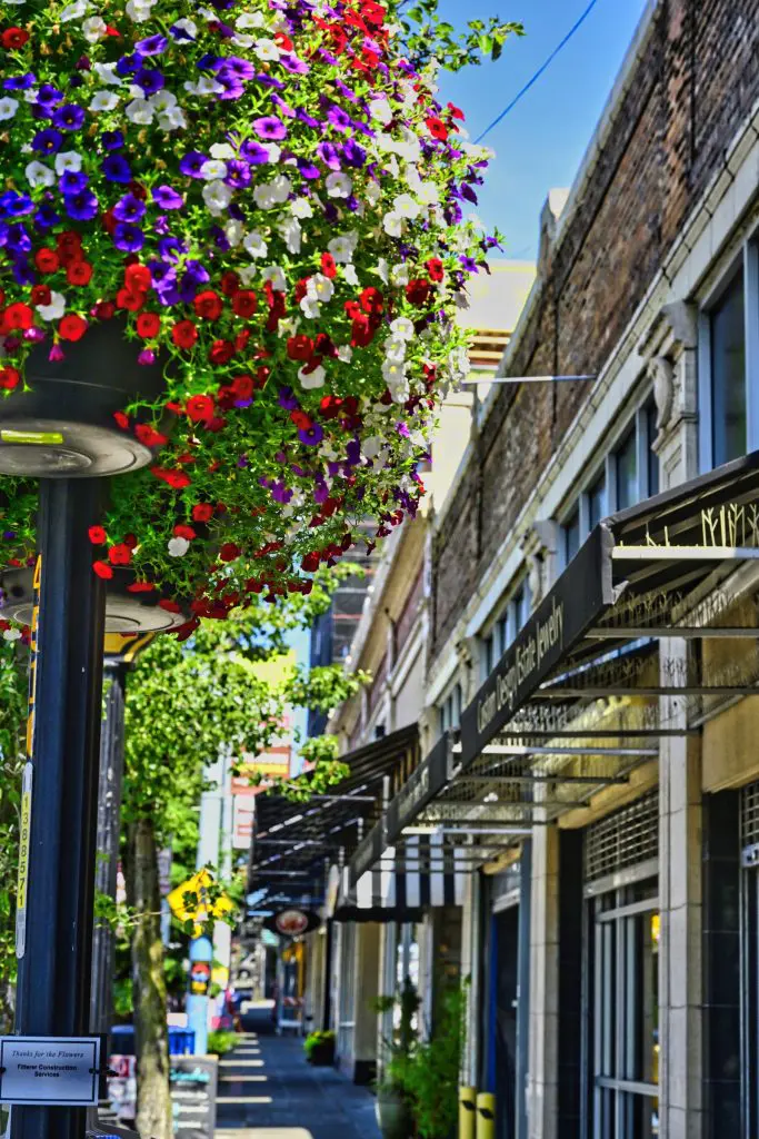 flowers by P Robinson