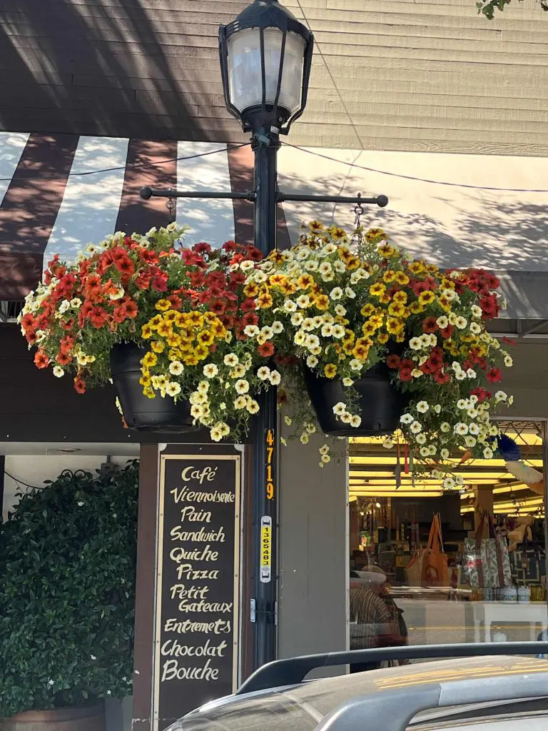 nice colors nice colors