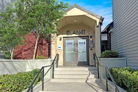 Elan 41